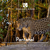 Brazil Destination Spotlight - Pantanal